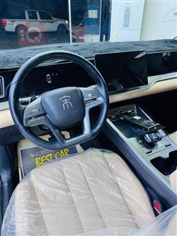 بي واي دي ‎سونغ برو DM-i